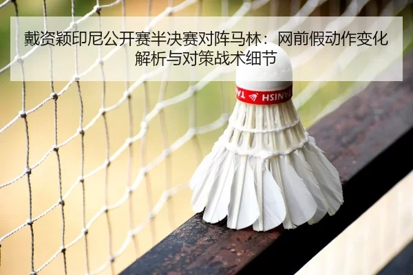 dai-zi-ying-yin-ni-gong-kai-sai-ban-jue-sai-dui-zhen-ma-lin-wang-qian-jia-dong-zuo-bian-hua-jie-xi-yu-dui-ce-zhan-shu-2-300.jpg